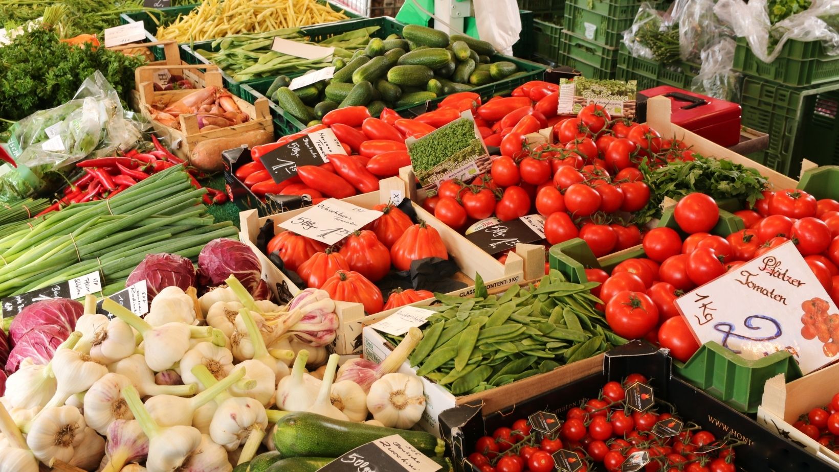 Agriculture spotlight